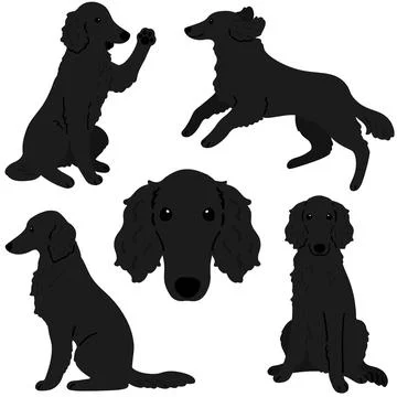 Cute and simple illustrations of black Borzoi Dog flat colored Stock Illustration