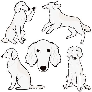 Cute and simple illustrations of white Borzoi Dog outlined Stock Illustration