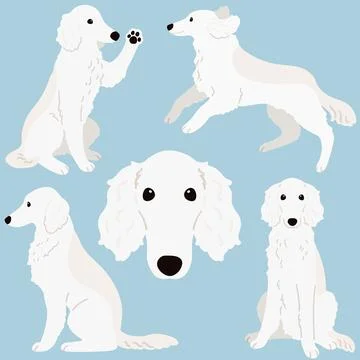 Cute and simple illustrations of white Borzoi Dog flat colored Stock Illustration