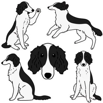Cute and simple outlined illustrations of black and white Borzoi Dog Stock Illustration