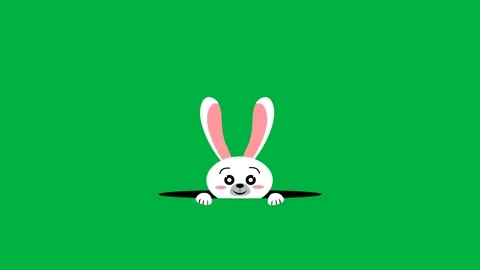 Cute and white bunny looking from hole on green screen with blinking eyes a.. Stock Footage 266787715