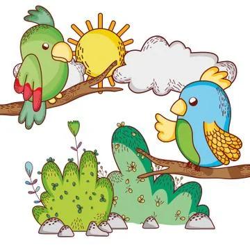 Cute animals, parrots in branches tree sun cartoon 스톡 일러스트