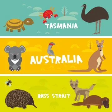 Cute animals set, Echidna koala Platypus ostrich Emu Cockatoo parrot turtle k Stock Illustration