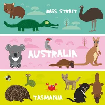 Cute animals set, Echidna koala  Platypus ostrich Emu Tasmanian devil parrot  Stock Illustration