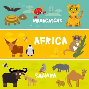Cute animals set, leopard turtle crab penguin lemur bull hippo hyena parrot t イラスト素材