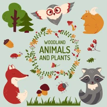 Cute animals set. Vector illustration. Stock Illustration