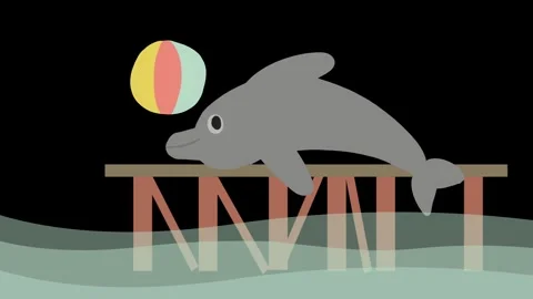 Cute animated dolphin playing with beach ball on dock Stock Footage 312664188