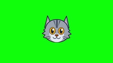 Cute Animated Grey Cat Face on Green Screen 4K Video Video stock 333598942