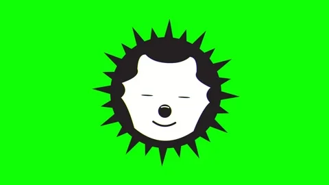 Cute Animated Hedgehog Face Blinking on Green Screen 4K Video Video stock 333598974