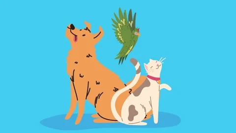 Cute animated pets group featuring dog cat and flying parrot on blue backgr.. Stock-Footage 334527408