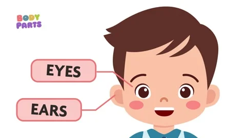 Cute animated video of a boy learning about body parts 스톡 동영상 301879765