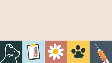 Cute animated video featuring cats and adorable animal elements Video stock 307378228