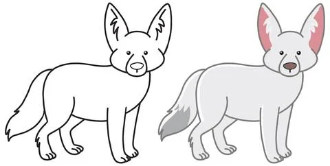 Cute Arctic Fox Vector Illustration in Outline and Colored Styles Stock Illustration