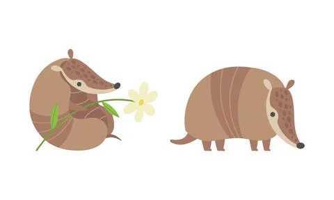 Cute Armadillo Character with Armor Shell Holding Flower and Standing Vector Set Illustration