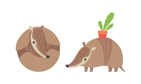 Cute Armadillo Character with Armor Shell Curled Up and Carrying Cactus in Pot Illustration