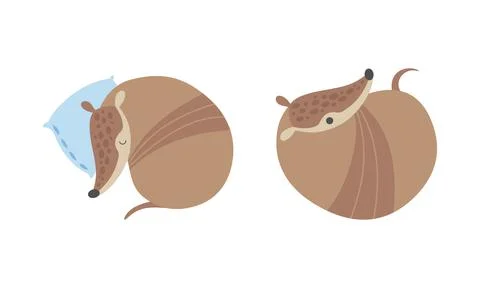 Cute Armadillo Character with Armor Shell Curled Up and Sleeping on Pillow Stock Illustration
