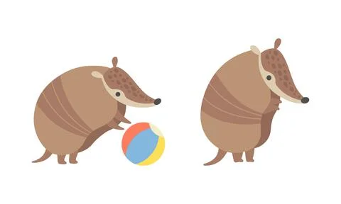 Cute Armadillo Character with Armor Shell Playing with Ball and Standing Vector Stock Illustration