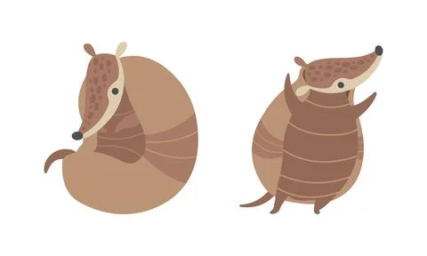 Cute Armadillo Character with Armor Shell Curled Up and Standing Vector Set Stock Illustration
