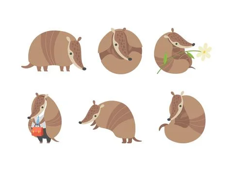 Cute Armadillo Character with Armor Shell Engaged in Different Activity Vector 스톡 일러스트