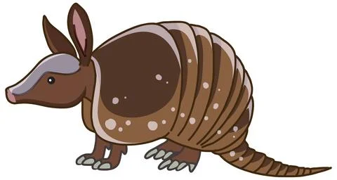 Cute Armadillo Vector Illustration Isolated on White Background Stock Illustration