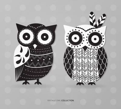 Cute artistic owls vector set Illustrazione stock