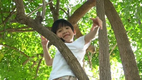 Cute asian boy climbing a tree in the park Stock Footage 100657508