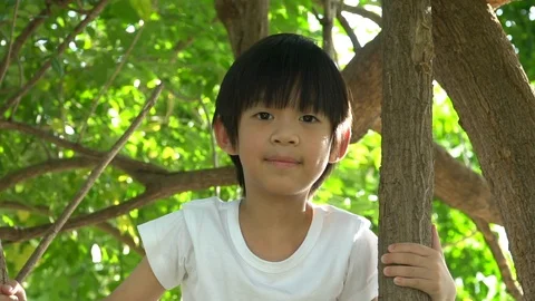 Cute asian boy climbing a tree in the park Stock Footage 100658246