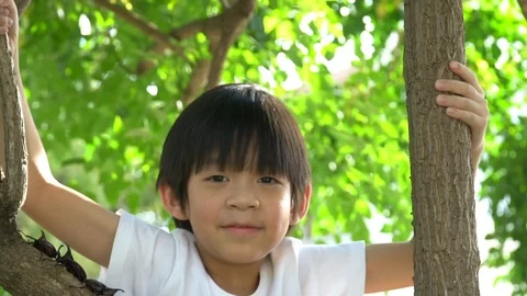 Cute asian boy climbing a tree in the park Stock Footage 100659739