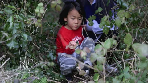 Cute Asian boy croshing down in the woods with his mother. Stock Footage 171274550