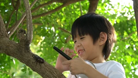 Cute Asian child looking through a magnifying glass at a rhinoceros beetle Stock Footage 100661399
