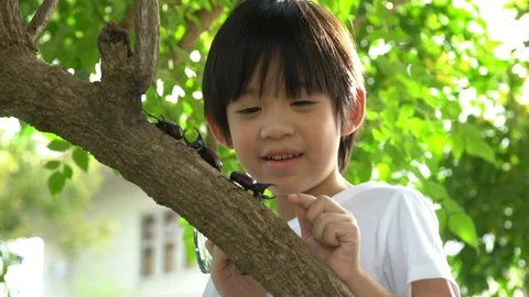 Cute Asian child looking through a magnifying glass at a rhinoceros beetle Stock Footage 100698450