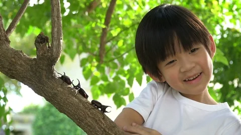 Cute Asian child looking through a magnifying glass at a rhinoceros beetle Stock Footage 100698878
