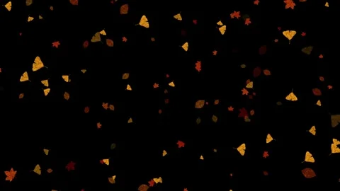 Cute autumn leaf animation with luminance matte Stock Footage 315843402