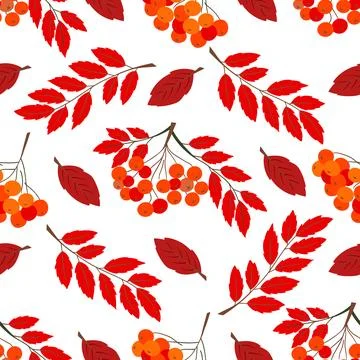 A cute autumn seamless pattern with berries. Red rowan berries and autumn lea 스톡 일러스트