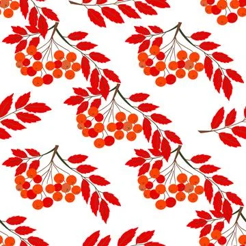 A cute autumn seamless pattern with berries. Red rowan berries and autumn lea Illustrazione stock