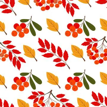 A cute autumn seamless pattern with berries. Red rowan berries and autumn lea 스톡 일러스트