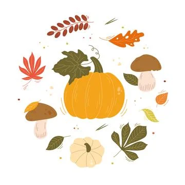 Cute autumn vector set with pumpkins, mushrooms 스톡 일러스트