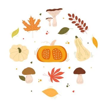 Cute autumn vector set with pumpkins, wild mushrooms Stockillustratie