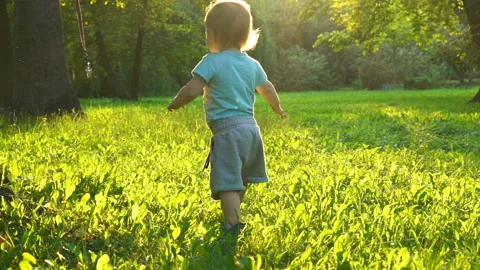 Cute baby boy making first steps in sunset lights, slow motion 120 fps HD Stock Footage 101614931