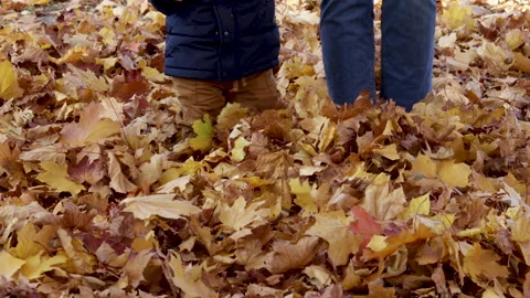 Cute baby boy walking in thick layer of fallen dry foliage leaves Vidéo 219850032
