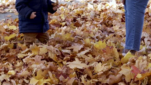Cute baby boy walking in thick layer of fallen dry foliage leaves Stockbeeldmateriaal 219850282