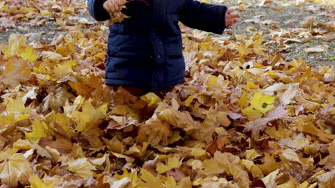 Cute baby boy walking in thick layer of fallen dry foliage leaves Stockbeeldmateriaal 219850316