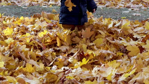 Cute baby boy walking in thick layer of fallen dry foliage leaves Video stock 219850327