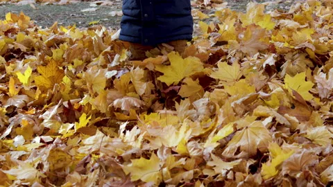 Cute baby boy walking in thick layer of fallen dry foliage leaves Vídeos de archivo 219850356