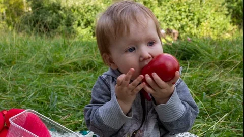 Cute baby eats a big tomato Stockbeeldmateriaal 115644967