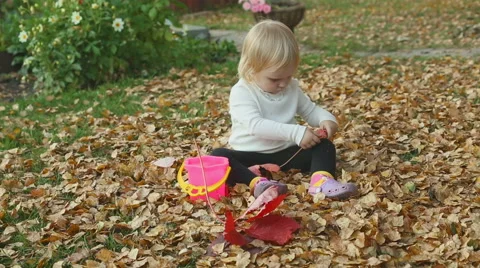 Cute baby girl playing with leaves in autumn Stock Footage