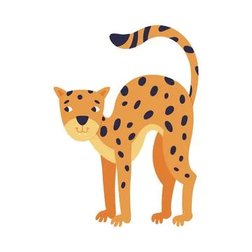 Cute baby leopard arching its back. Beautiful wild predator animal cartoon Stock Illustration