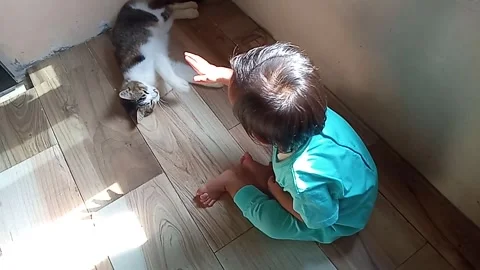 Cute baby scared when playing with his cat Stock Footage 287065348