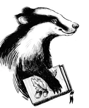 Cute badger with a book Stock Illustration