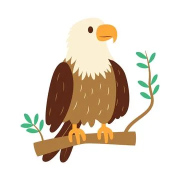 Cute Bald Eagle Hawk Falcon Bird Animal Perched on Tree Twig in the Jungle Stock Illustration